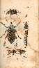 Index picture i_Dir\i_Page1.htm